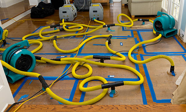 Professional Water Damage Repair technician working in Rumford, RI